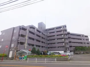 シャトルグランディの画像