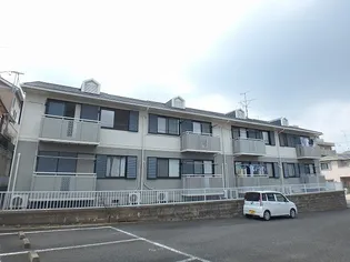 ビューバレーKⅢの画像