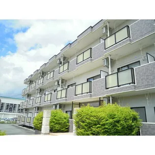 パレ・ミレニアム【1階】の外観