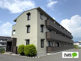 ステラ 庄内の画像