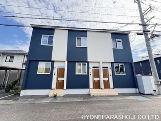 ブルージェイ若草の画像