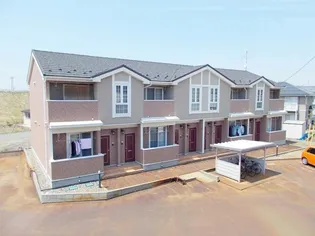 ステラ リーヴァ Ⅲの画像