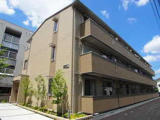 アルバトロスの画像