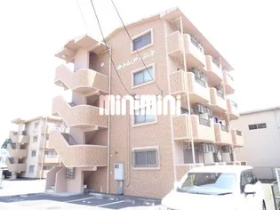 カトレア シスの画像