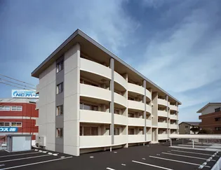 シャルマンコーポMの画像