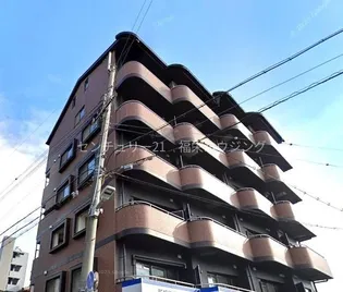 スヌーグ横堤の画像