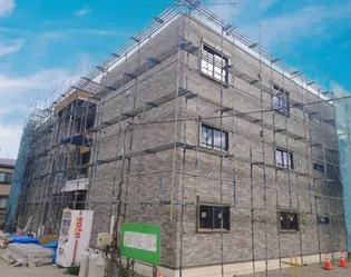 グリーングレイスの画像