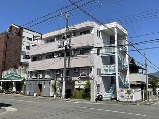 ブルーマウンテンの画像