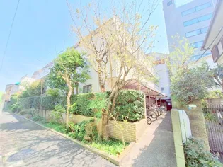 プランタニエールの画像