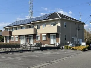 フォレスト フェアリーIIの画像