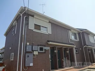 アクジスの画像