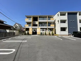 ネオ コンテ Bの画像