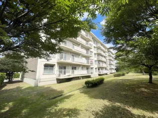 大津ヶ丘第2住宅 5号棟の画像