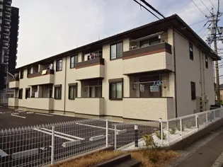 プラシードの画像