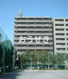 モルペウス横浜の画像