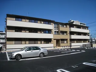 テトラやまのいの画像