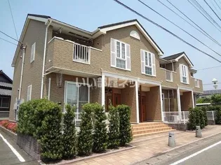 エバーグリーンの画像