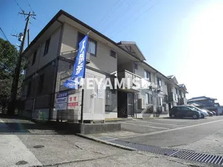 ウィルモアアサイの画像