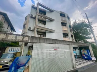 EASY BOX 稲の画像