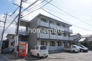 ピカソ出仲間の画像