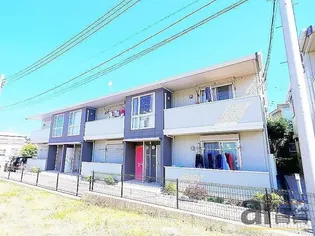 ステラ Aの画像