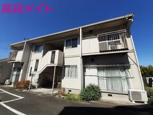 タウニーグリーンメイトの画像