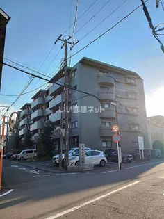 フィールド サンの外観