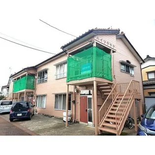 ハイツササゲの画像