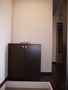 プラザ ドゥ エリーシャ【2階】の玄関