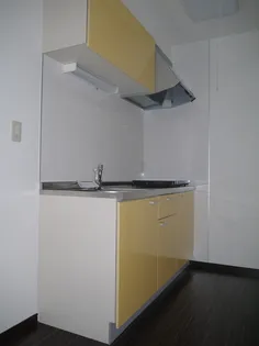 プラザ ドゥ エリーシャ【2階】のキッチン