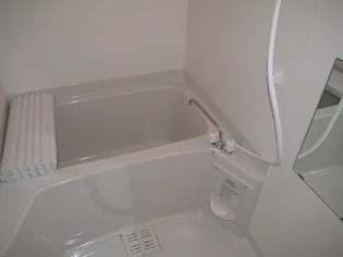 プラザ ドゥ エリーシャ【2階】の風呂