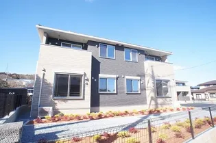 プラシードIの画像