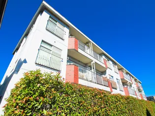 シャトレー新井【3階】の外観