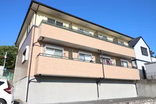 ルピナスの画像