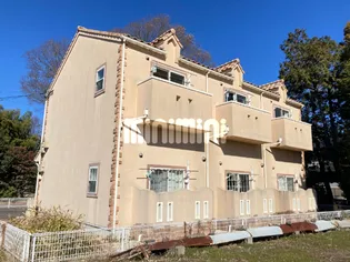 セレンディピティーの画像