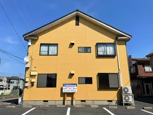 コートバニヤンAの画像