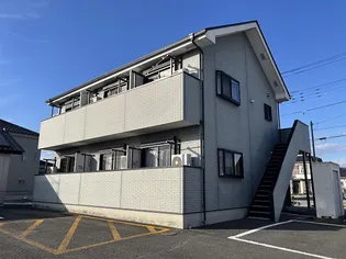 ジューン ブロッサムの画像