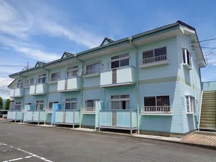ステラIの画像