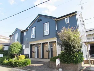 リベラール籐の画像