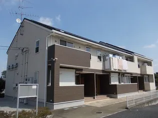 プリムローズAの画像