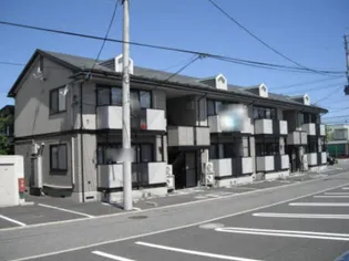 ドリームさくらの画像