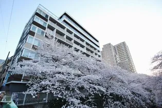 東京都新宿区西早稲田1【マンション】の外観