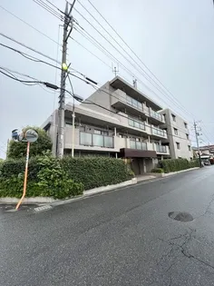 サエラ宮原の画像