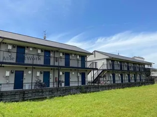 レーベンの画像