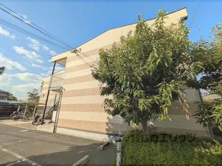 レオパレスルサルカの画像