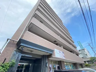 ドミール藤沢【7階】の外観