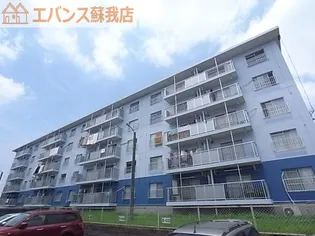 白旗台団地【3階】の外観