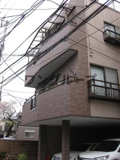 スプリング サンの画像