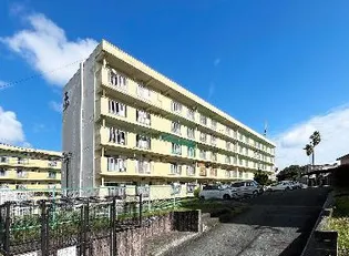 舞松原100棟の画像