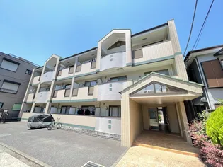 プラシド アイの画像